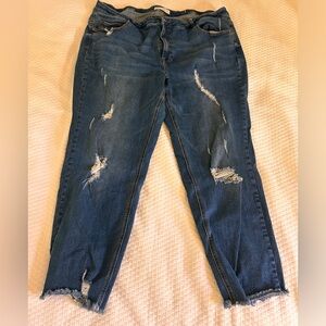 Distressed Eloquii skinny jeans 22